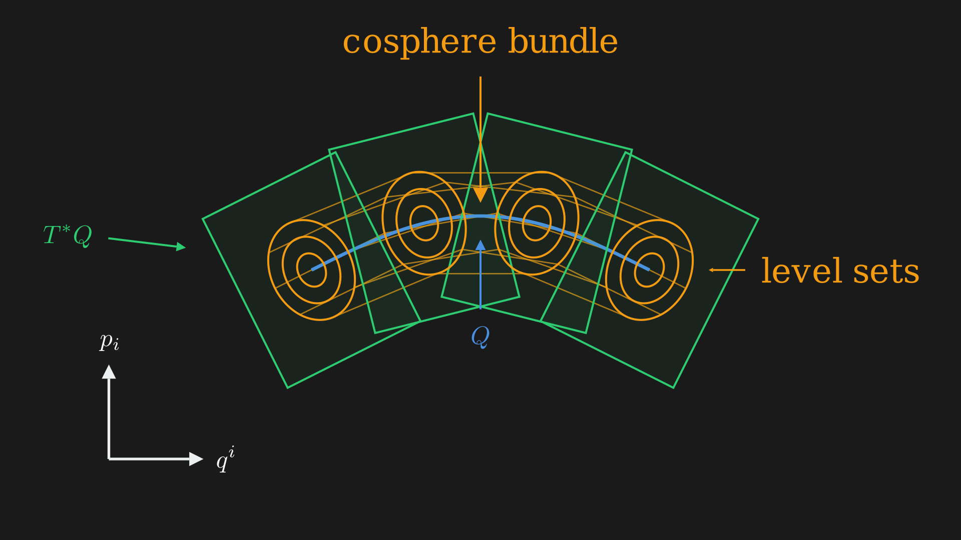 The cosphere bundle.