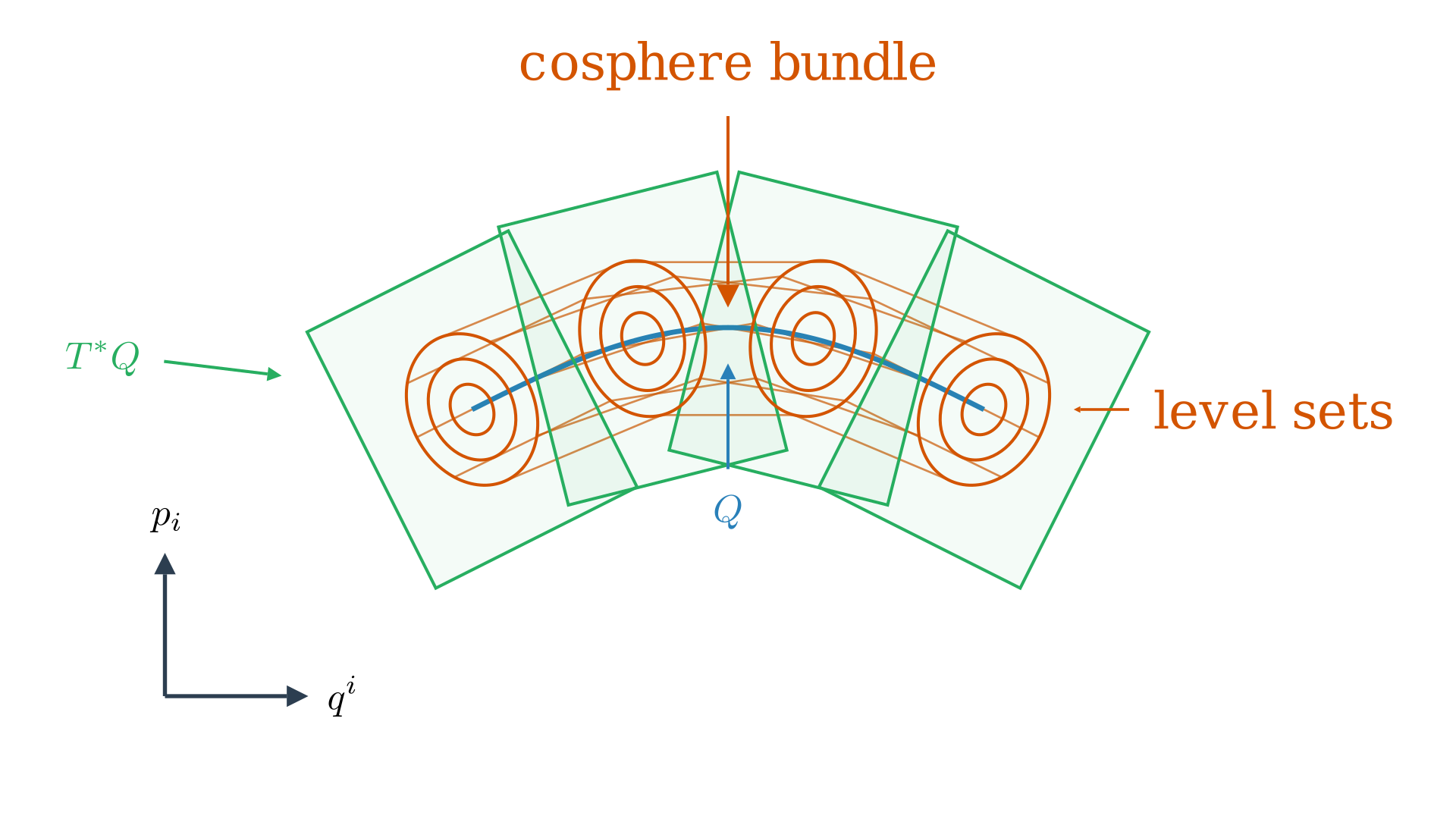 The cosphere bundle.