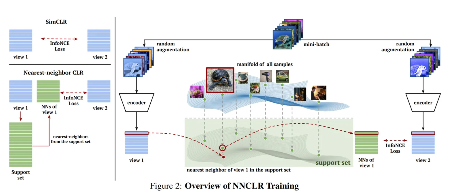 Comparison of positive-pair selection in SimCLR and NNCLR
